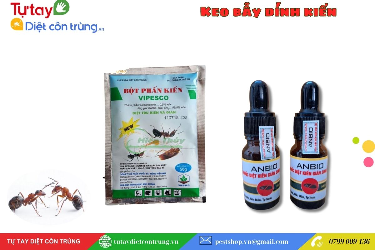 Thuốc Diệt Kiến Dạng Bột Hoặc Gel chuyên dụng