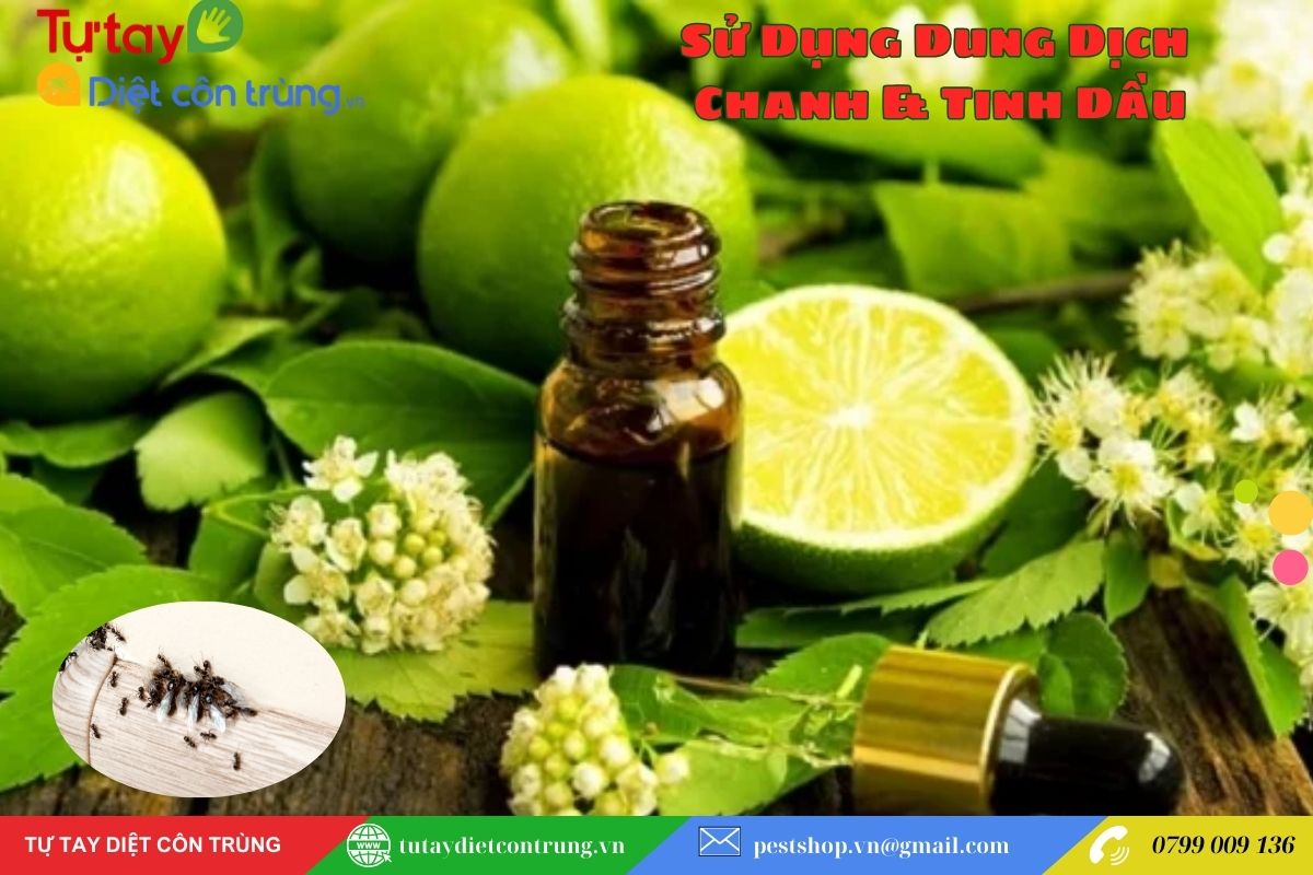 Sử Dụng Dung Dịch Chanh & Tinh Dầu
