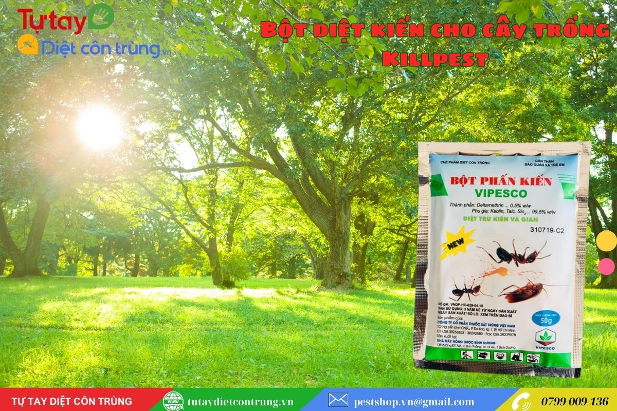 Bột phấn kiến cho cây VIPESCO
